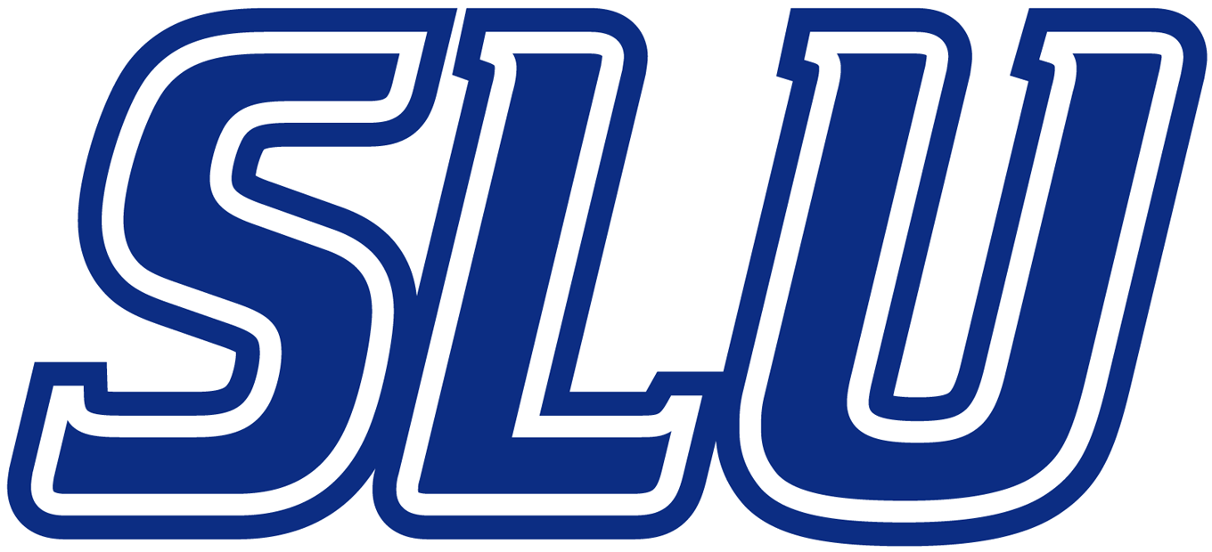 Saint Louis Billikens 2002-Pres Wordmark Logo t shirts iron on transfers v2